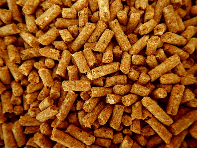 Scopri come funziona una stufa a pellet senza canna fumaria l'innovazione che cambierà il tuo stile di vita!